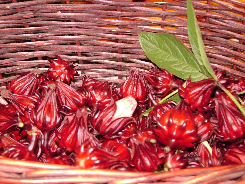 Hibiskus Doğal Renklendirici