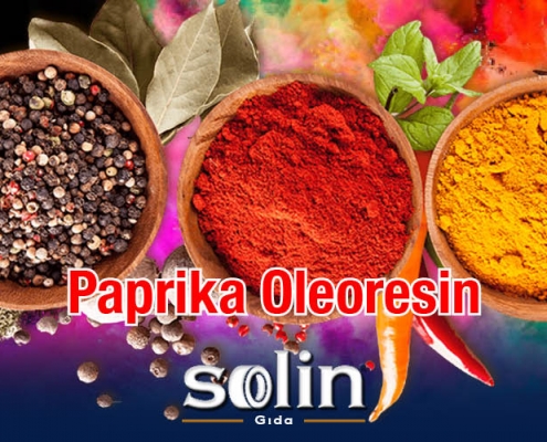 Paprika Oleoresin E160C Doğal Gıda Boyası