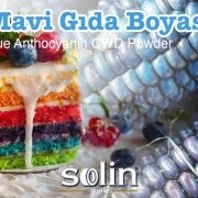 Mavi Gıda Boyası Solin Gıda