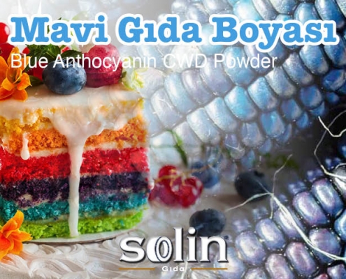 Mavi Gıda Boyası Solin Gıda