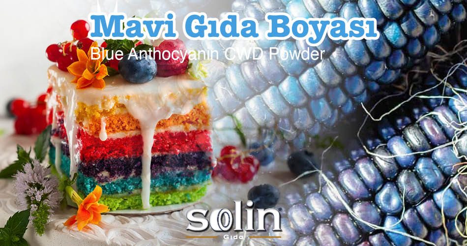 Mavi Gıda Boyası Solin Gıda