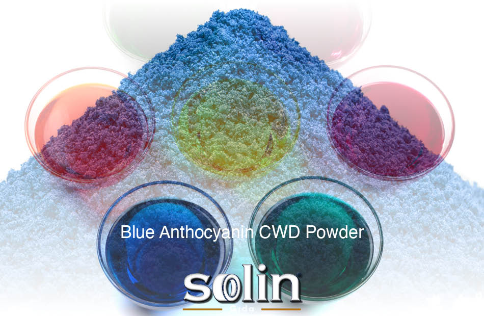 Mavi Gıda Boyası Blue Anthocyanin CWD Powder