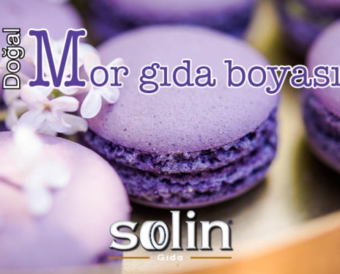 Mor GIda Boyası Natural Purpple Solin Gıda