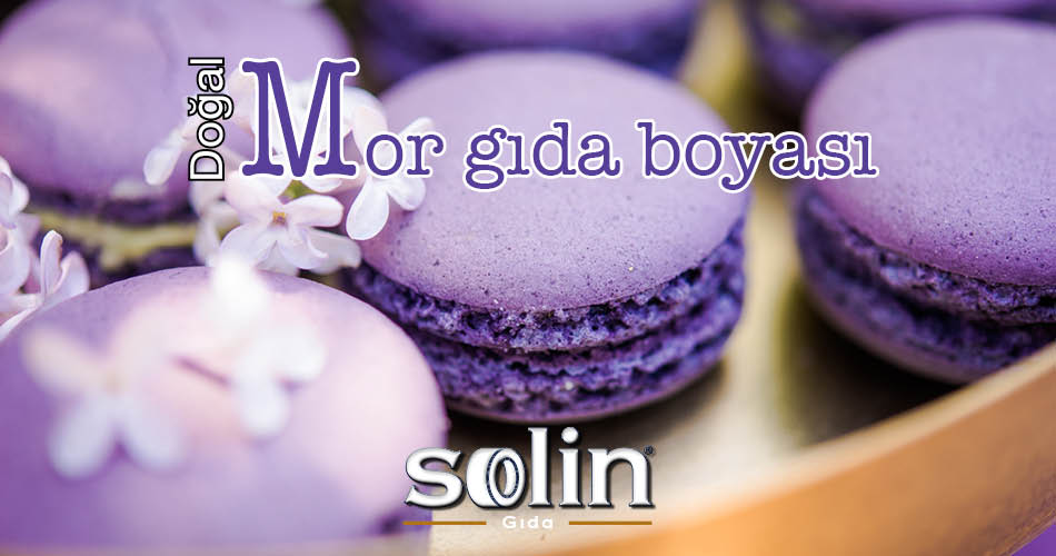 Mor GIda Boyası Natural Purpple Solin Gıda