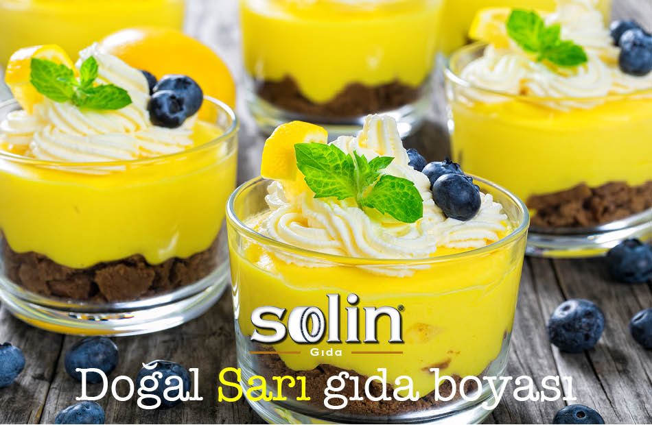 Sarı Gıda Boyası Yellow Annatto CWD Powder