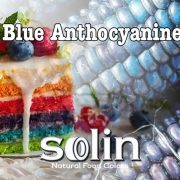Solin Food Colors Blue Anthocyanin (Blue Corn)