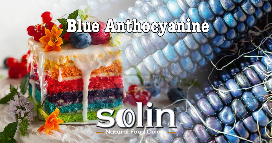 Solin Food Colors Blue Anthocyanin (Blue Corn)