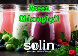 Solin Food Colors Green Chlorophyll