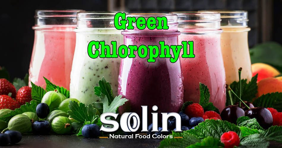 Solin Food Colors Green Chlorophyll