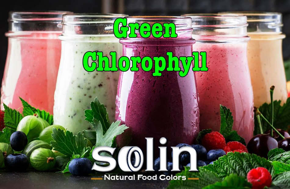 Solin Food Colors Green Chlorophyll