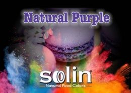 Solin Food Colors Natural Purple