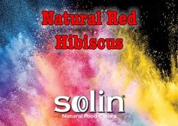 Solin Food Colors Natural Red Hibiscus