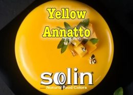 Solin Food Colors Yellow Annatto