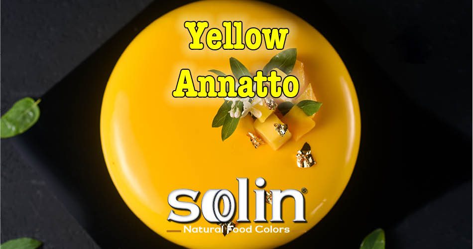 Solin Food Colors Yellow Annatto